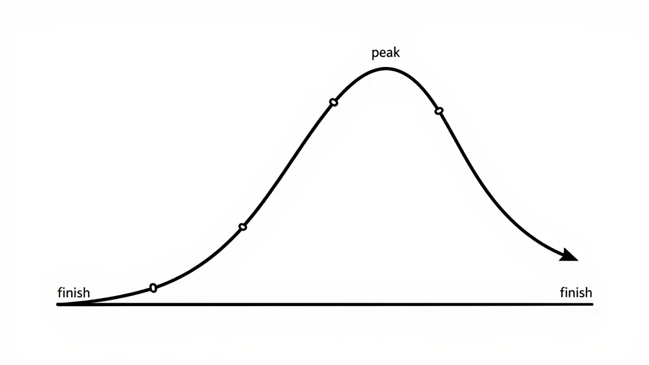 Single-line illustration showing a cosine annealing learning rate curve